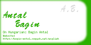 antal bagin business card